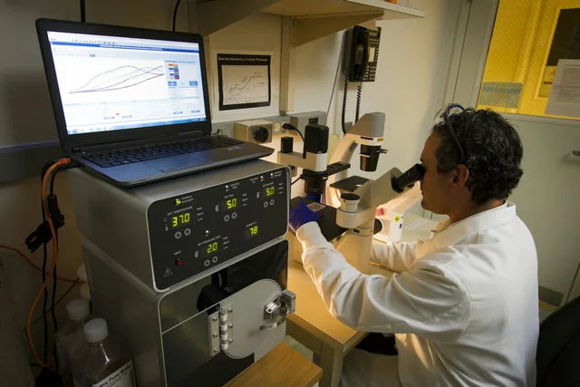Researcher working in a laboratory