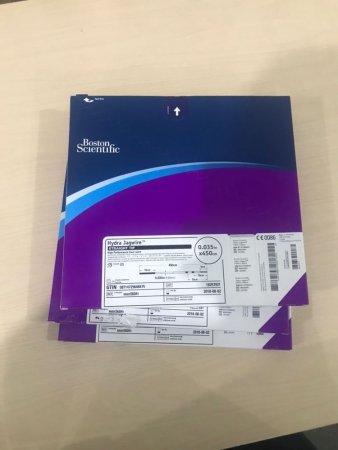 Guía Boston Scientific